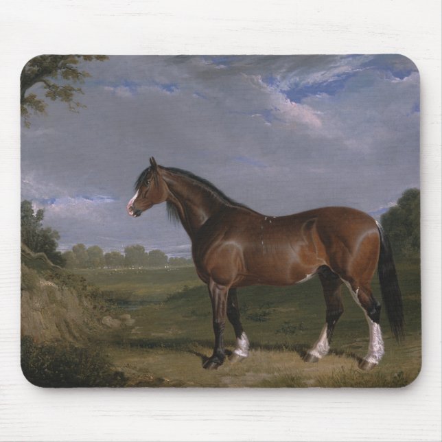Clydesdale Stallion (Thoroughbred Horse) (Animal) Mouse Pad (Front)