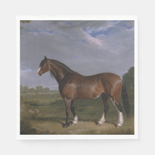 Clydesdale Stallion (Thoroughbred Horse) (Animal) Napkin