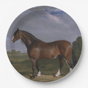 Clydesdale Stallion (Thoroughbred Horse) (Animal) Paper Plate