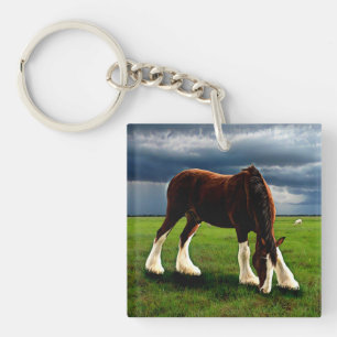 Clydesdale Storm Key Ring