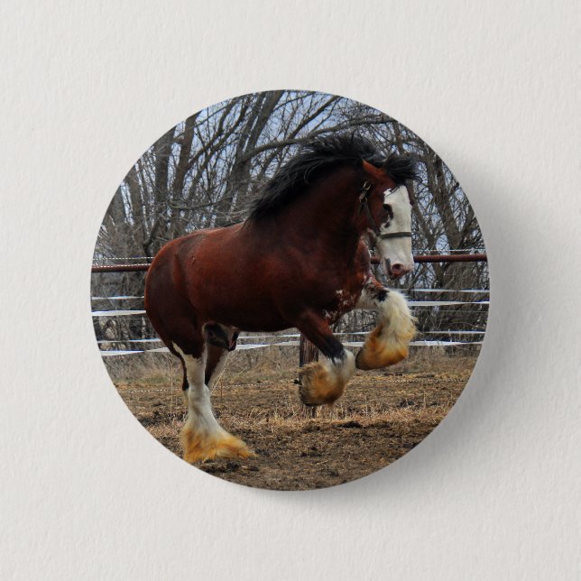 Clydesdale stud colt running 6 cm round badge (Front)