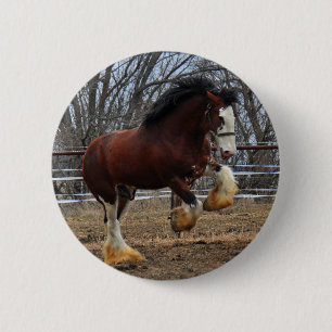 Clydesdale stud colt running 6 cm round badge
