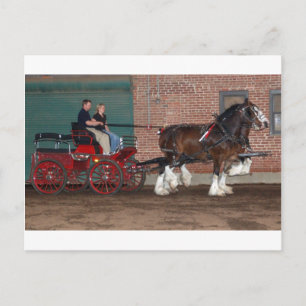 Clydesdales cart postcard