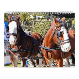 Clydesdales & other heavy horse breeds 2026 calendar