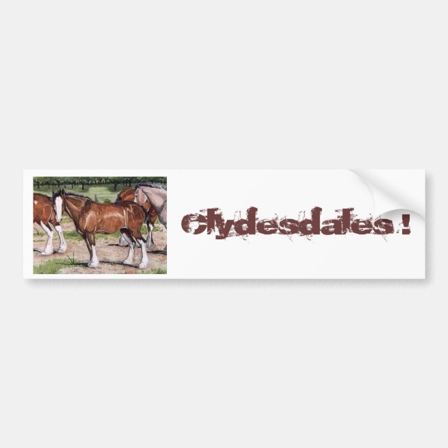 Clydesdales Rule Horse Art Bumper Sticker (Front)