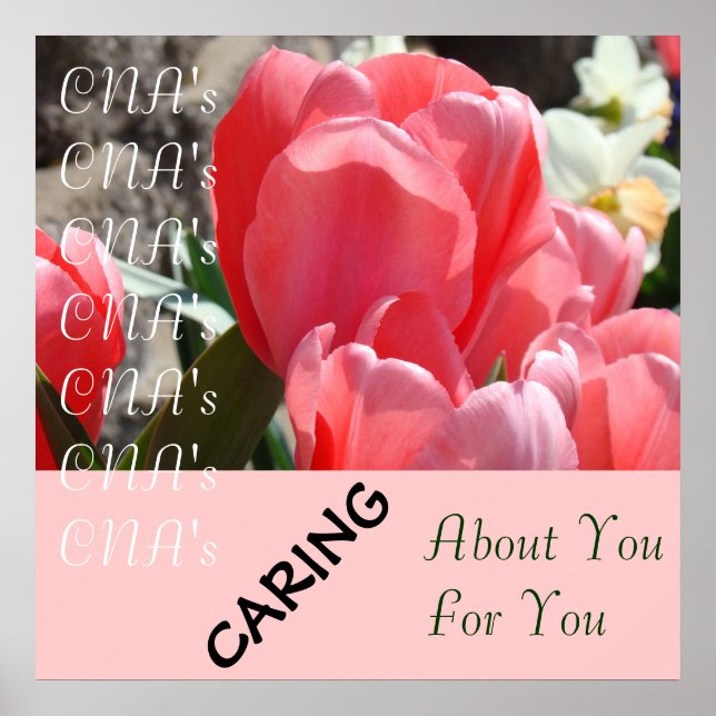 CNA's CNA's Caring about You Caring for You poster (Front)