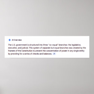 Co-Equal Branches of Government Poster