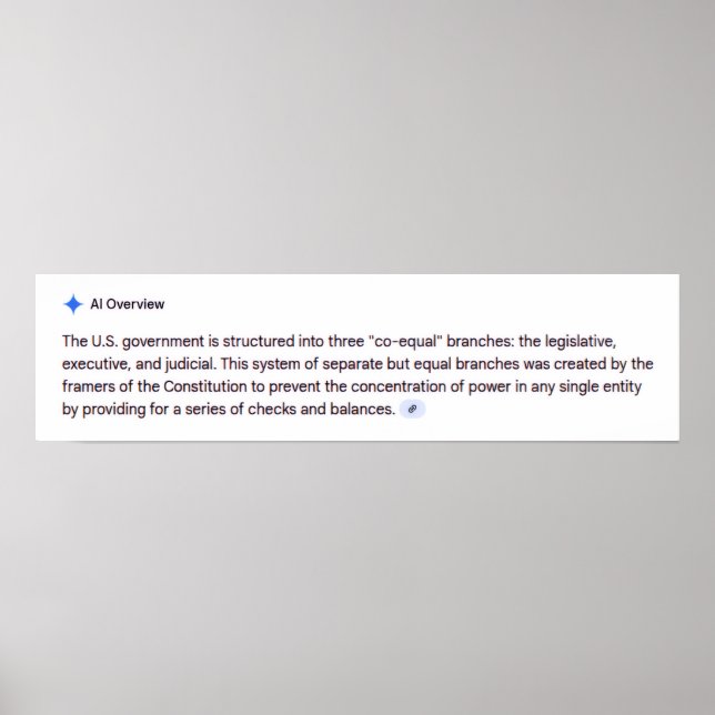 Co-Equal Branches of Government Poster (Front)