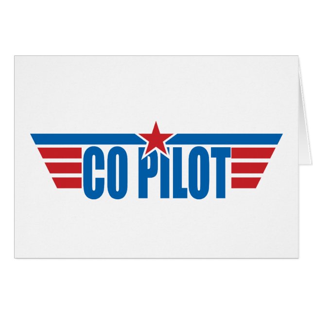 Co-Pilot Wings Badge - Aviation (Front Horizontal)