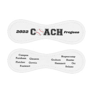 Coach Fregozo Baseball