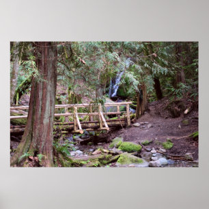 Coal Creek Falls Walking Bridge Print