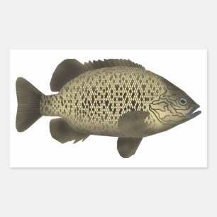 Coal Grunter Rectangular Sticker