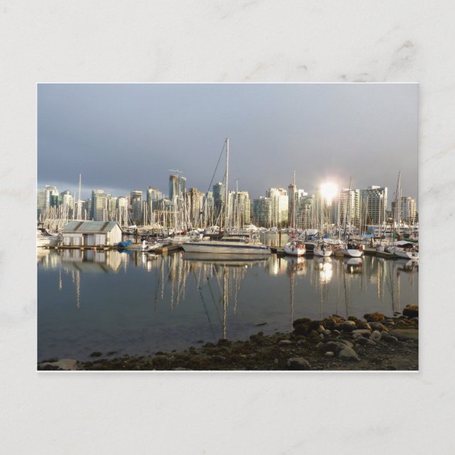 Coal Harbor, BC at sunset. Postcard (Front)