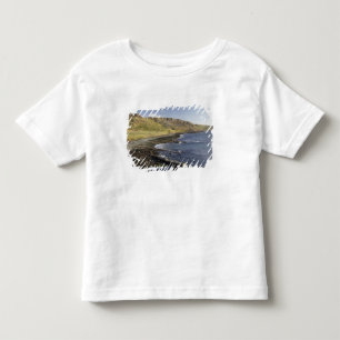 Coast at Duntulm, Isle of Skye, Scotland, United Toddler T-Shirt