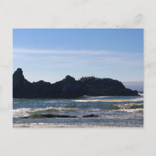 Coast at Seal Rock OR Postcard