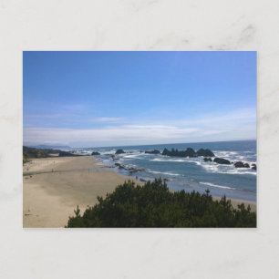 Coast at Seal Rock, Oregon Postcard