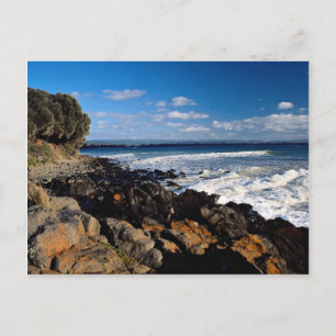 Coast at Swansea, U.K. Postcard