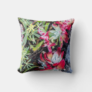 Coast Dudleya At Point Reyes National Seashore Cushion