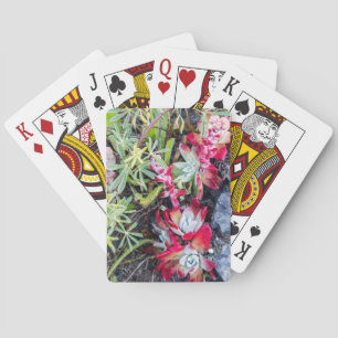 Coast Dudleya At Point Reyes National Seashore Playing Cards
