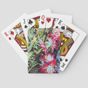 Coast Dudleya At Point Reyes National Seashore Playing Cards