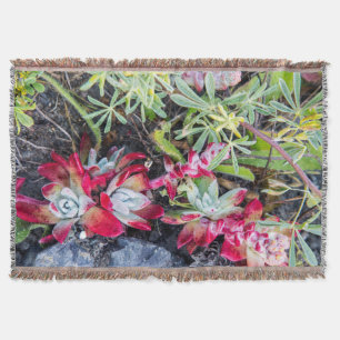 Coast Dudleya At Point Reyes National Seashore Throw Blanket