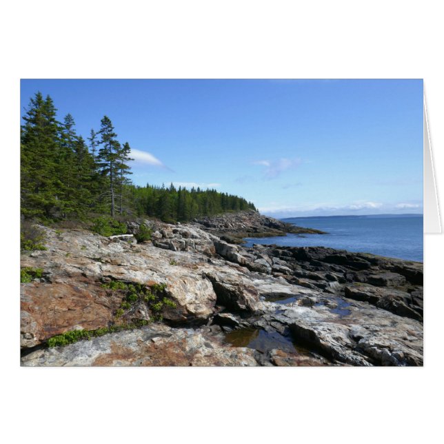 Coast of Bar Island at Acadia National Park (Front Horizontal)