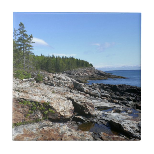 Coast of Bar Island at Acadia National Park Ceramic Tile (Front)