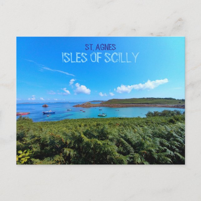 Coast of St. Agnes - Isles Of Scilly Postcard (Front)