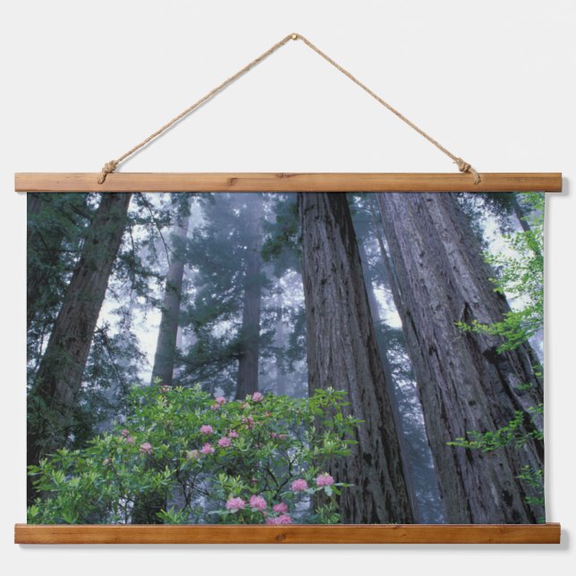 Coast Redwoods and Rhododendrons Hanging Tapestry (Front)
