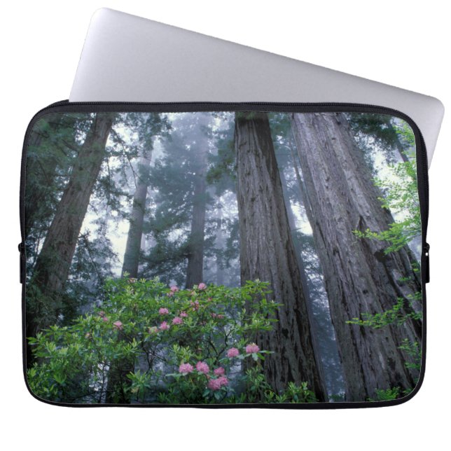 Coast Redwoods and Rhododendrons Laptop Sleeve (Front)