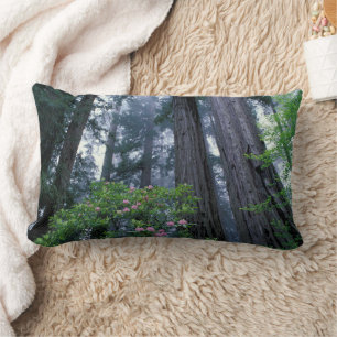 Coast Redwoods and Rhododendrons Lumbar Cushion