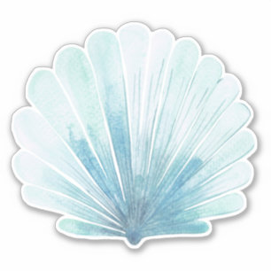 Coastal Aqua Scallop Seashell