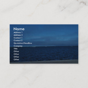 Coastal Area 51 Business Card