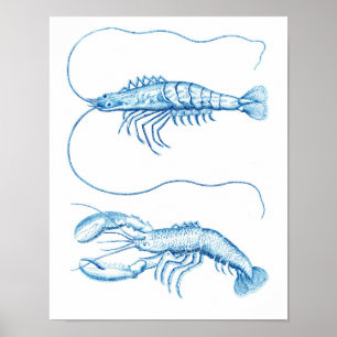 Coastal Art Blue Crustaceans No.6 Nautical Decor