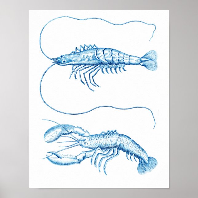 Coastal Art Blue Crustaceans No.6 Nautical Decor (Front)