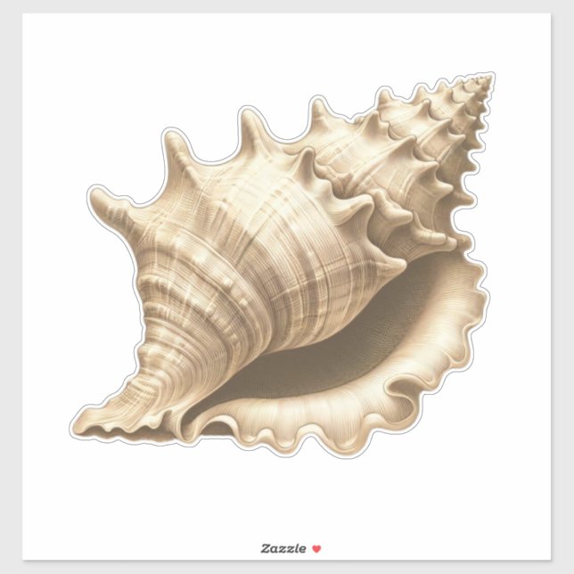 Coastal/beach/nautical seashell  (Sheet)