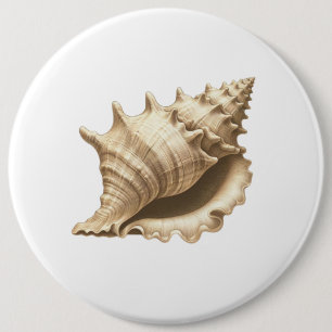 Coastal/beach/nautical seashell  6 cm round badge
