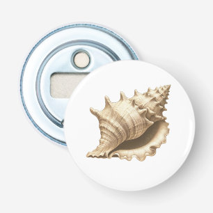 Coastal/beach/nautical seashell  bottle opener