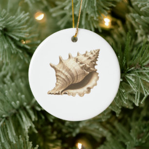 Coastal/beach/nautical seashell  ceramic ornament