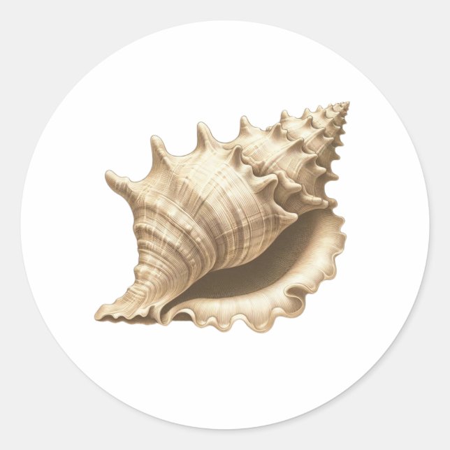 Coastal/beach/nautical seashell  classic round sticker (Front)