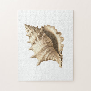 Coastal/beach/nautical seashell jigsaw puzzle
