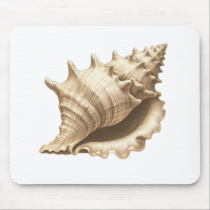 Coastal/beach/nautical seashell  mouse pad