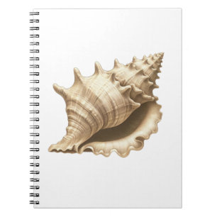 Coastal/beach/nautical seashell notebook