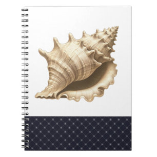 Coastal/beach/nautical seashell notebook