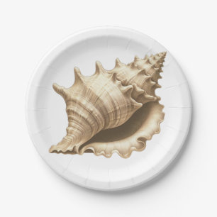 Coastal/beach/nautical seashell paper plate