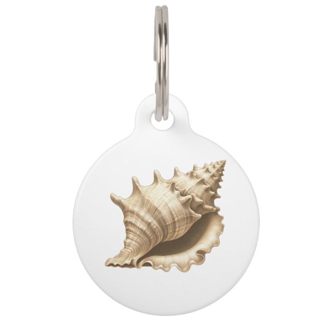 Coastal/beach/nautical seashell  pet tag (Front)