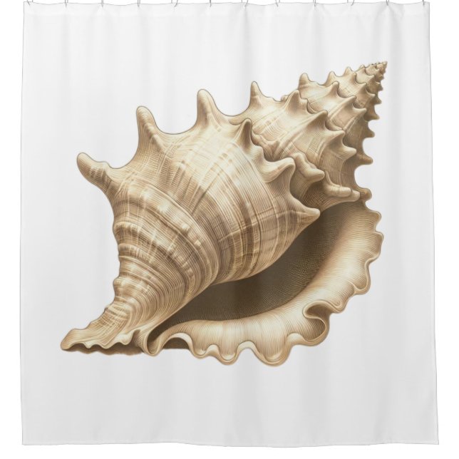 Coastal/beach/nautical seashell  shower curtain (Front)