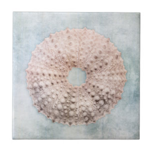 Coastal Blue and Peach Cream Distressed Beach Sea Ceramic Tile