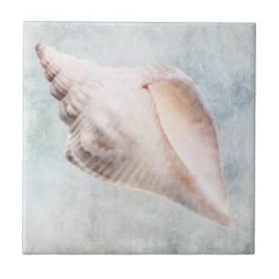 Coastal Blue and Peach Cream Distressed Shell Ceramic Tile