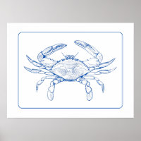 Coastal Blue and White Crab